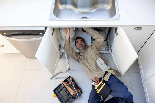 Best Plumbing Inspection Services  in Marquette Heights, IL