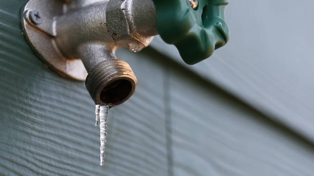 Best Water Leak Repair  in Marquette Heights, IL