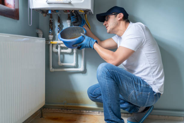 Best Local Plumber Services  in Marquette Heights, IL